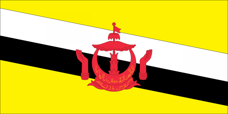 negara terkecil di asia tenggara, bendera negara Brunei Darussalam