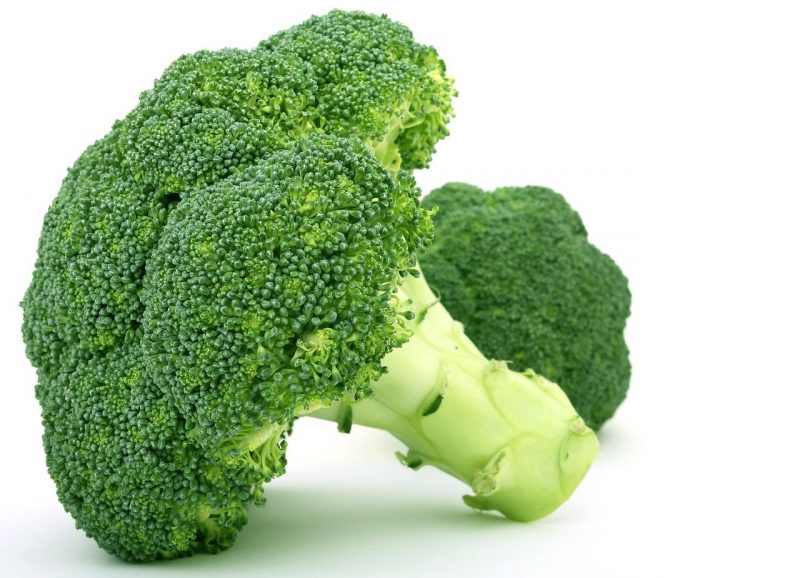 hubungan antara brokoli dengan kubis